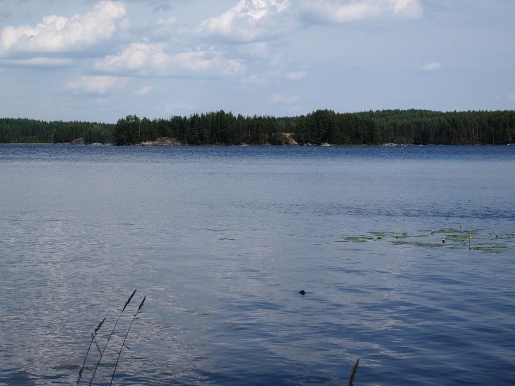 Kuoreksenniemi Villas & Lakehouse Puumala Kültér fotó