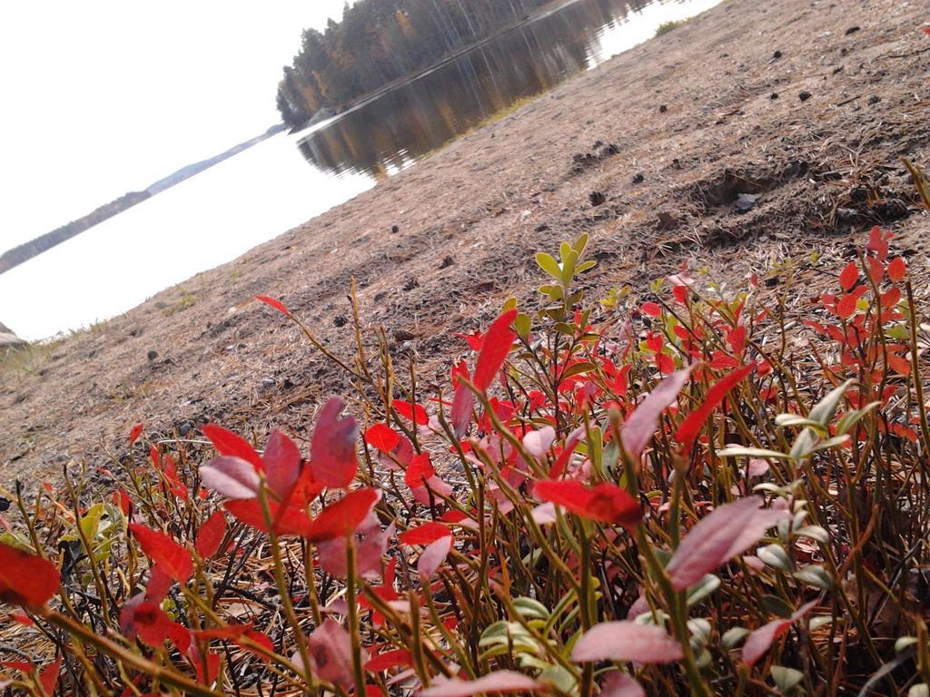 Kuoreksenniemi Villas & Lakehouse Puumala Kültér fotó